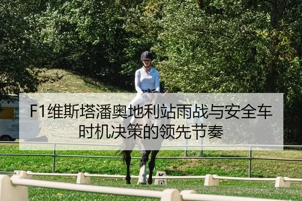wei-si-ta-pan-ao-di-li-zhan-yu-zhan-yu-an-quan-che-shi-ji-jue-ce-de-ling-xian-jie-zou-2-322.jpg